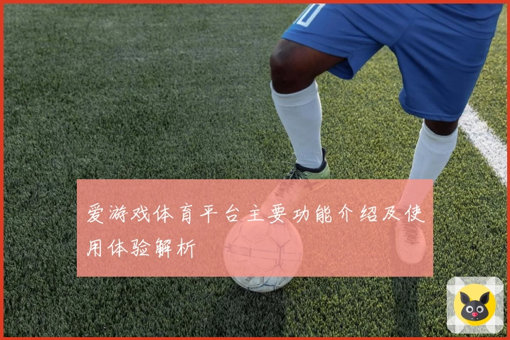 爱游戏体育平台主要功能介绍及使用体验解析