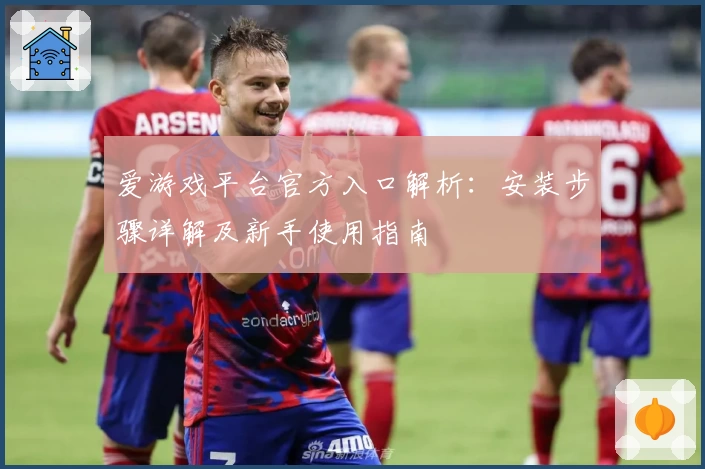 爱游戏平台官方入口解析：安装步骤详解及新手使用指南