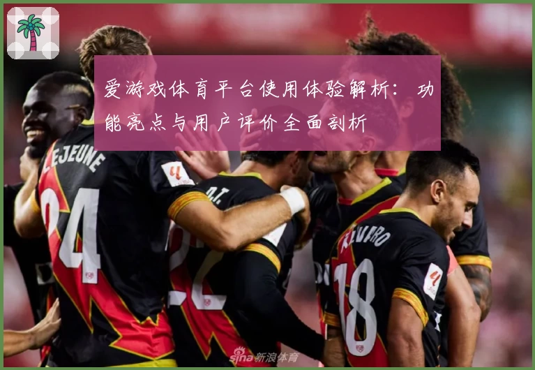 爱游戏体育平台使用体验解析：功能亮点与用户评价全面剖析